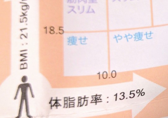 体組成測定結果　2017年7月19日